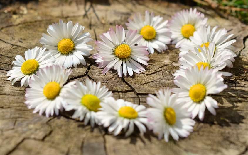 habits of good friends